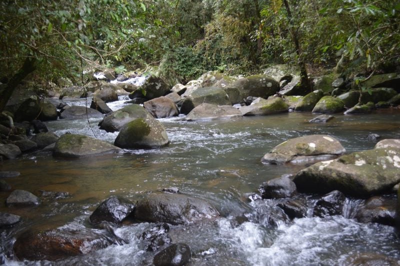 911 MIDDLEBROOK RD, MIDDLEBROOK, QLD 4886