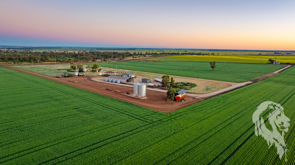 13012 Newell Hwy, Narrabri, NSW 2390