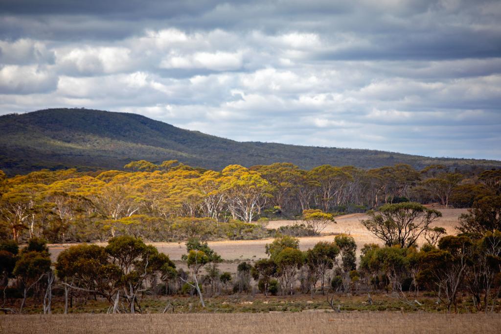 Lot 344 Hopetoun-Ravensthorpe Rd, Ravensthorpe, WA 6346