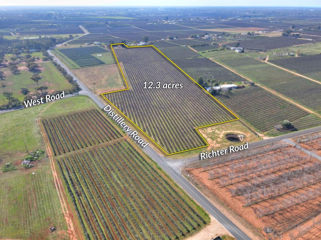 252 DISTILLERY RD, MONASH, SA 5342