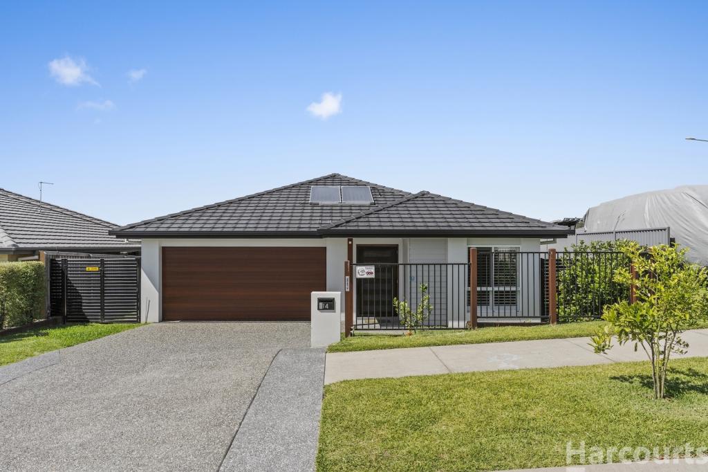 14 Meares Cct, Thrumster, NSW 2444