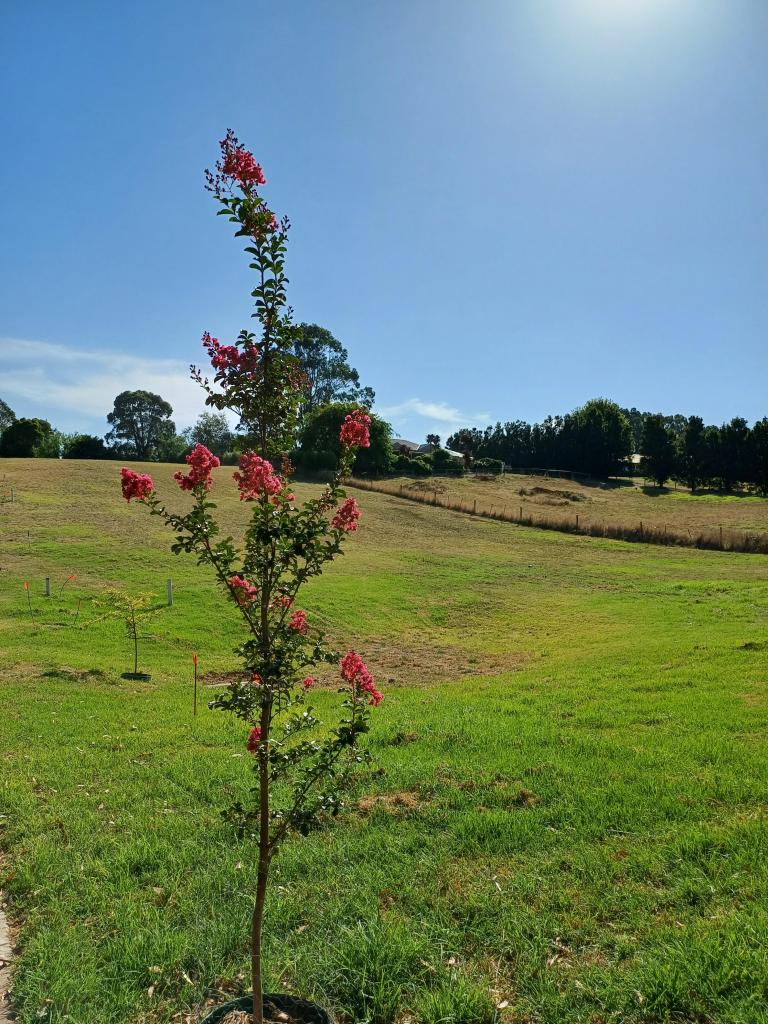 Lot 5 Henderlyn Rtt, Warragul, VIC 3820