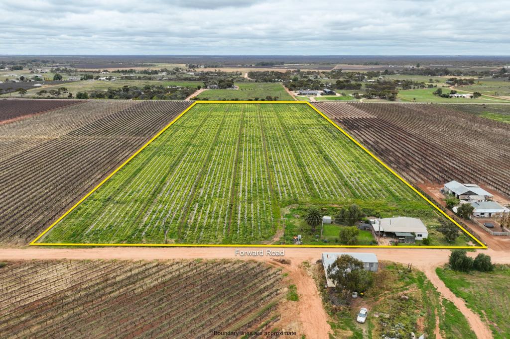 65 Forward Ave, Loveday, SA 5345