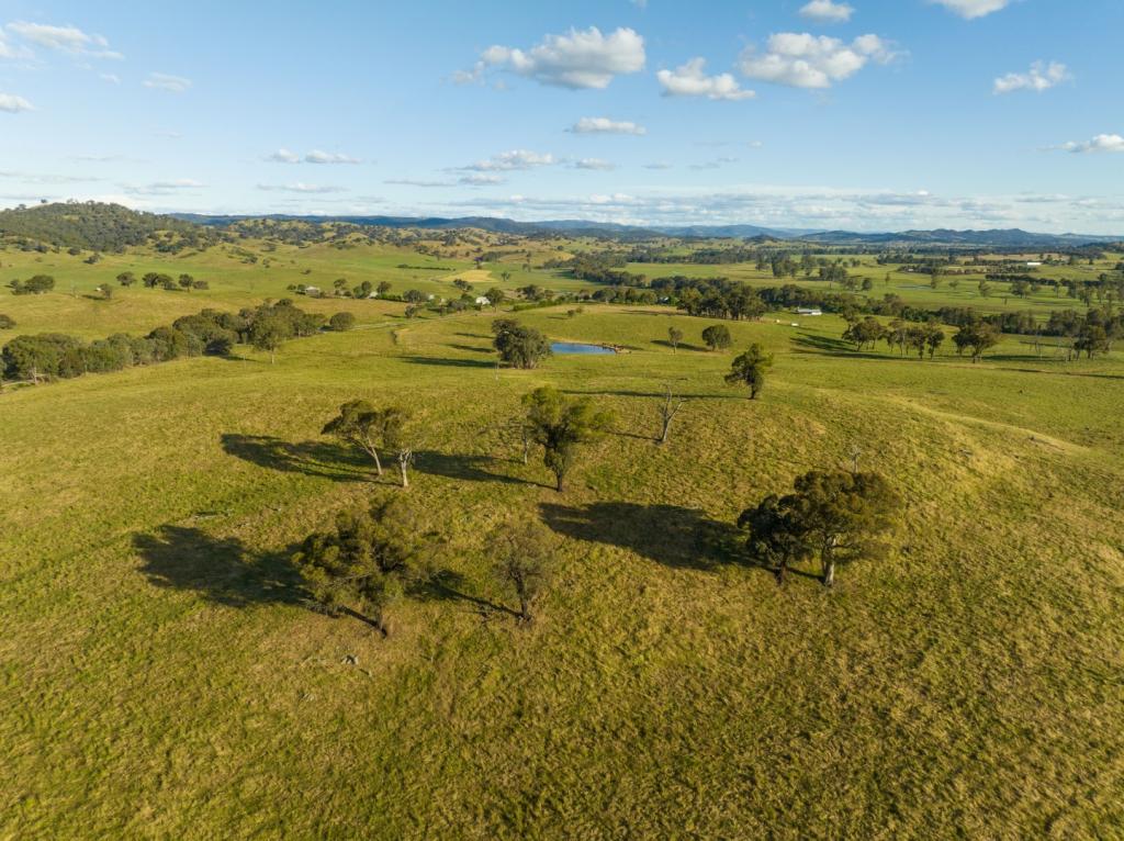 4276 Westbrook Rd, Tarcutta, NSW 2652