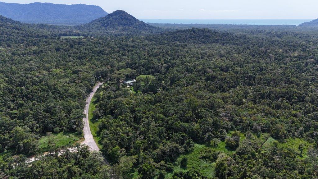 LOT 81 CAPE TRIBULATION ROAD, DIWAN,, DAINTREE, QLD 4873