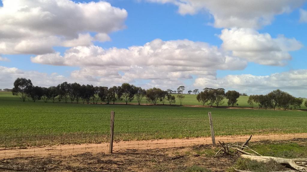 Lot 200 Greenhills Rd, Greenhills, WA 6302