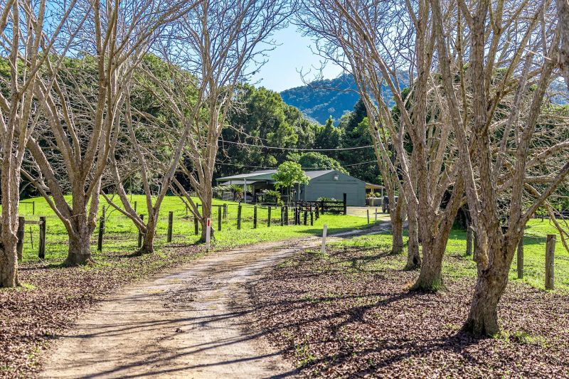 308 TOMEWIN RD, DUNGAY, NSW 2484