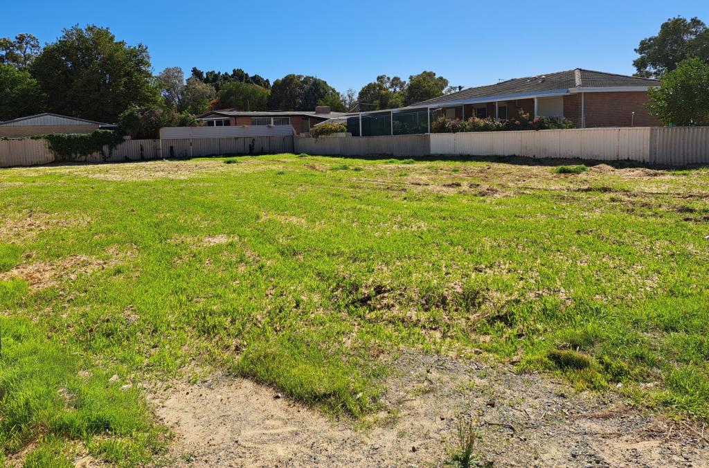 12 Morley St, Maddington, WA 6109