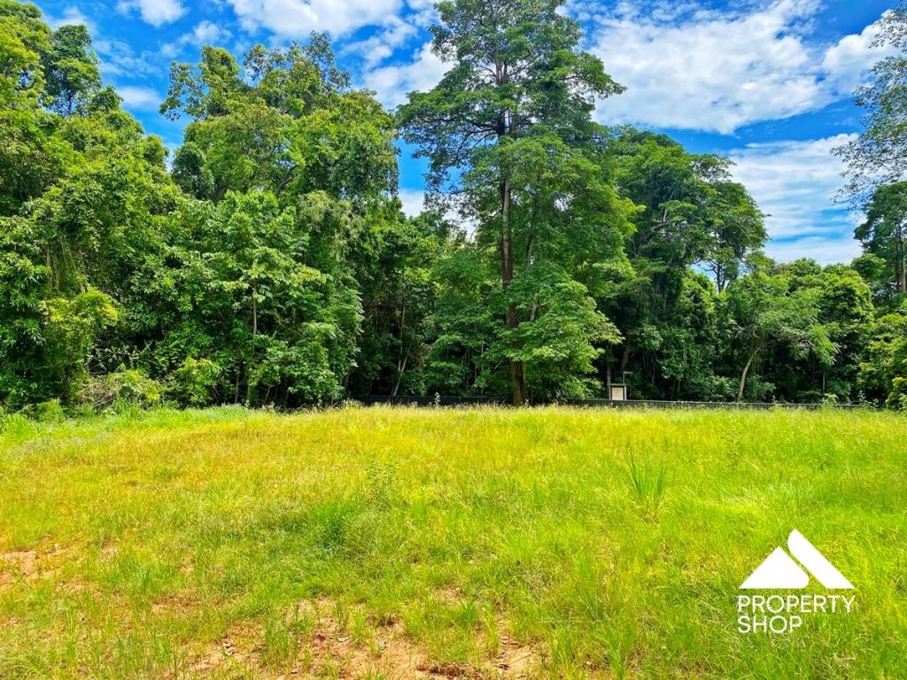 46 Rockycreek Dr, Mount Peter, QLD 4869