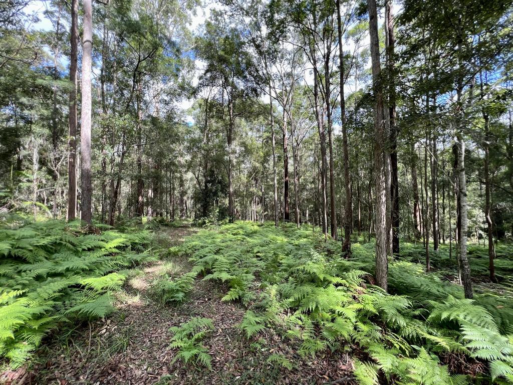 475 Verrierdale Rd, Verrierdale, QLD 4562