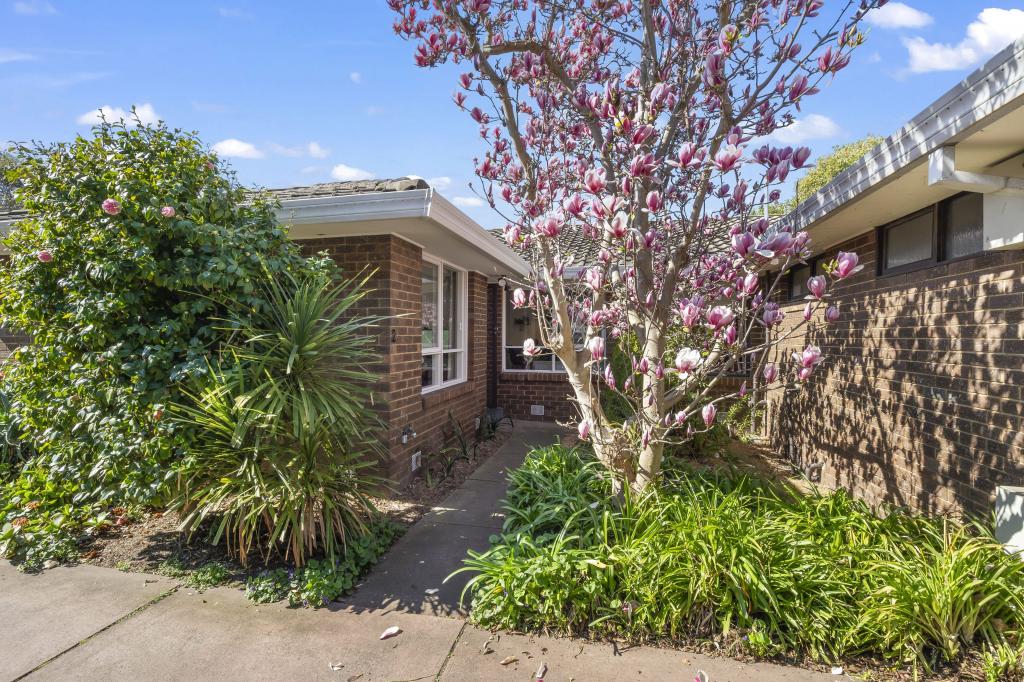 2/165 Bay Rd, Sandringham, VIC 3191