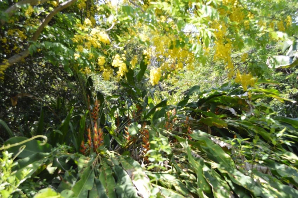 Contact agent for address, LAMBELLS LAGOON, NT 0822