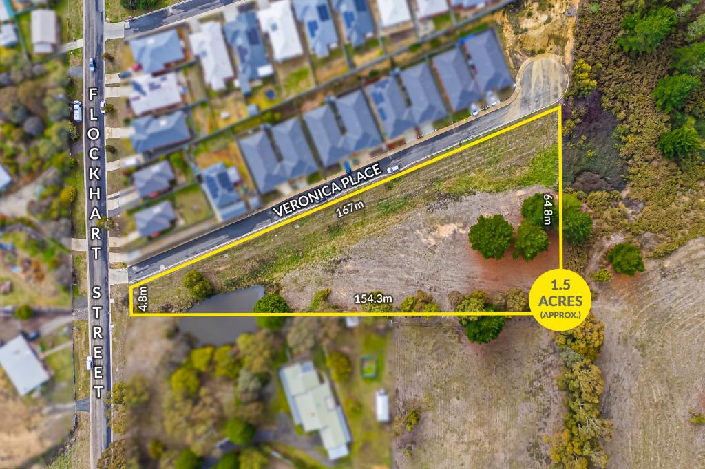 25a Flockhart St, Mount Pleasant, VIC 3350