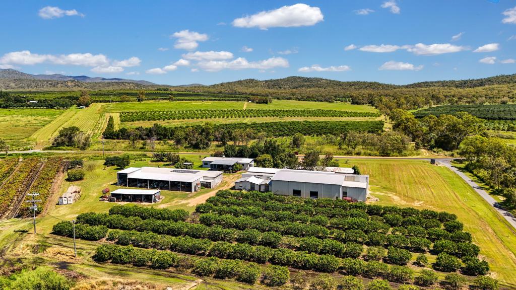 119 Mcleod Rd, Mutchilba, QLD 4872