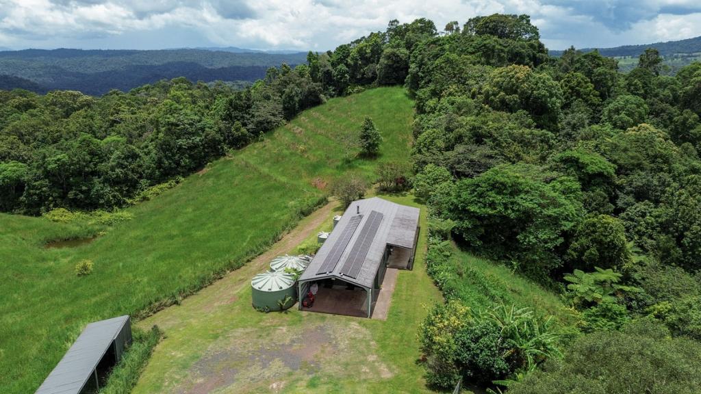 Lot 291 Palmerston Hwy, Mungalli, QLD 4886