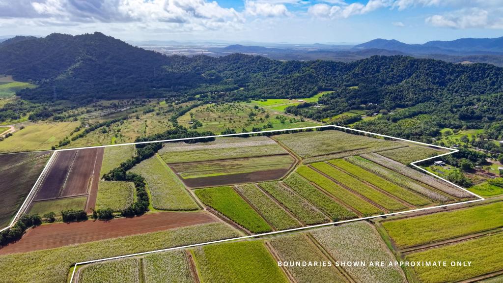 Lot 4 East Feluga Rd, East Feluga, QLD 4854