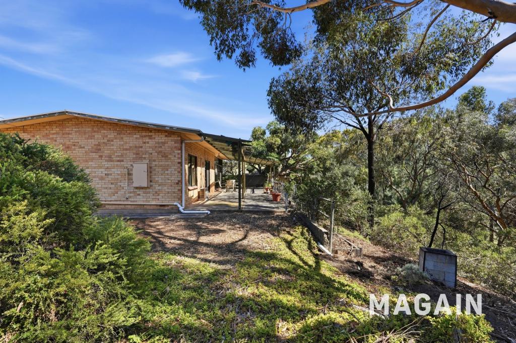 20 Mann St, Seacliff Park, SA 5049