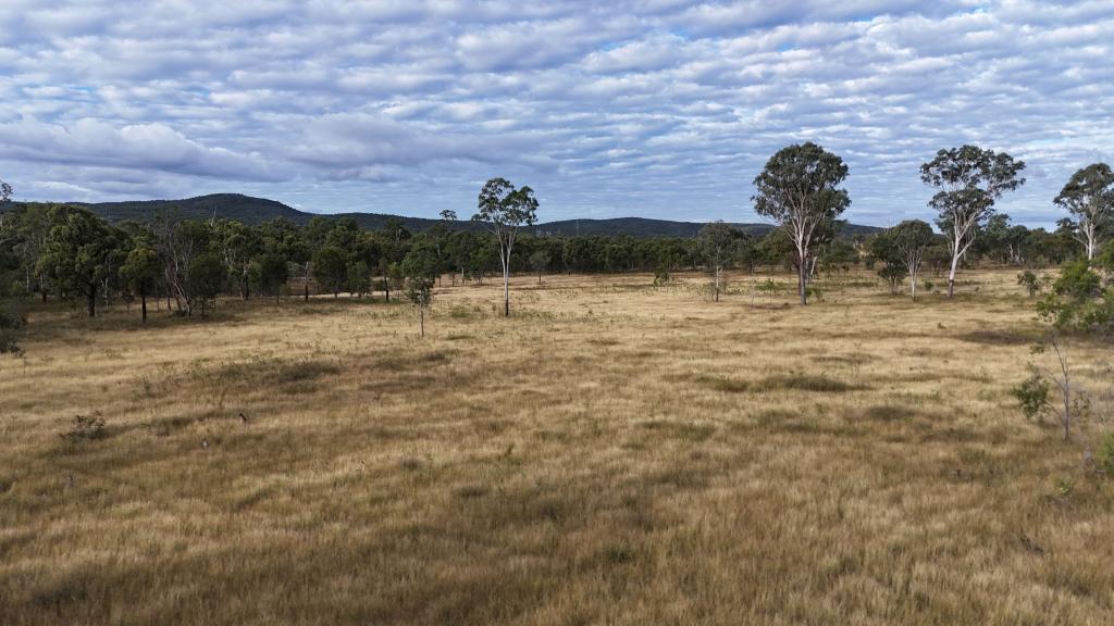 117 Donnellans Rd, Nebo, QLD 4742