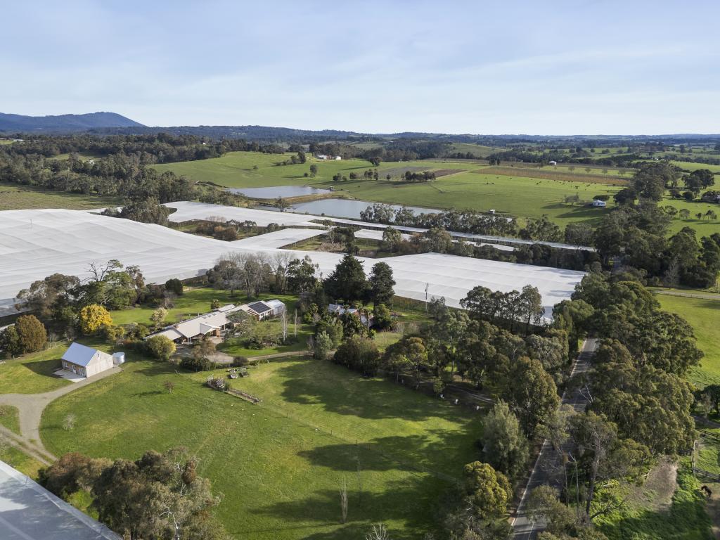 16 Medhurst Rd, Gruyere, VIC 3770