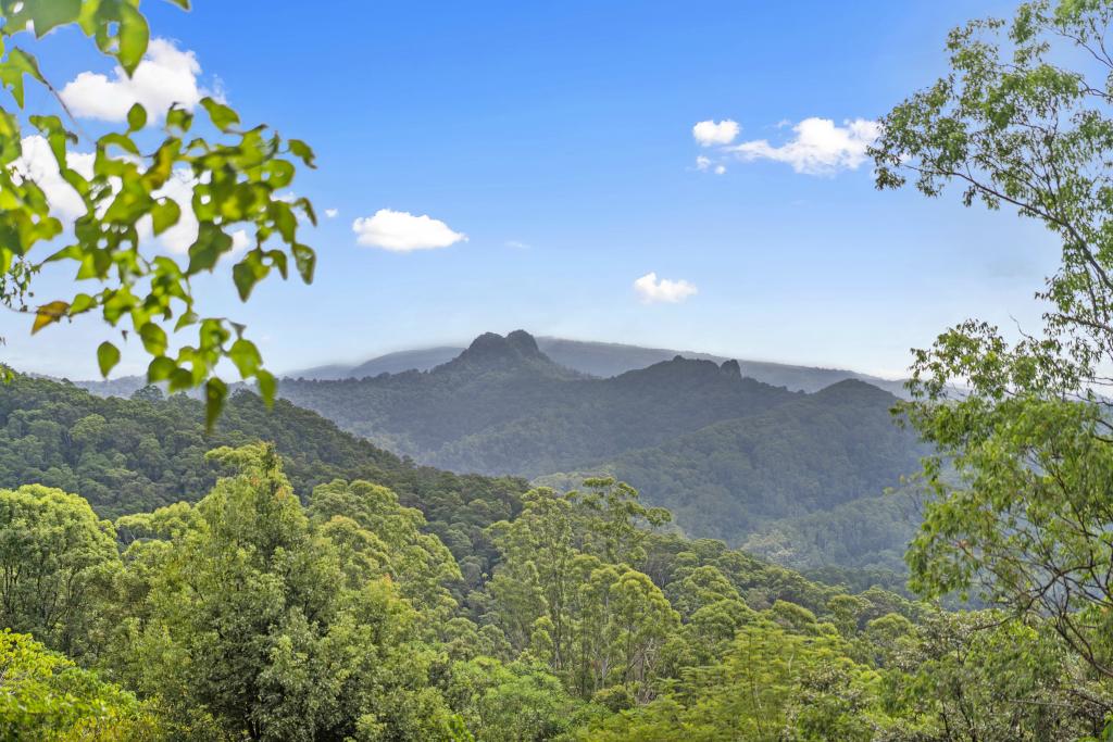 823 TOMEWIN MOUNTAIN RD, CURRUMBIN VALLEY, QLD 4223