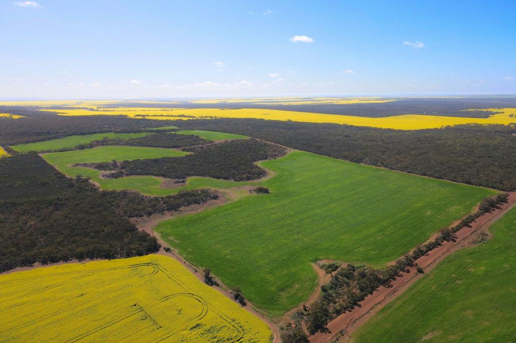 3042 WILDING RD, WONGAN HILLS, WA 6603