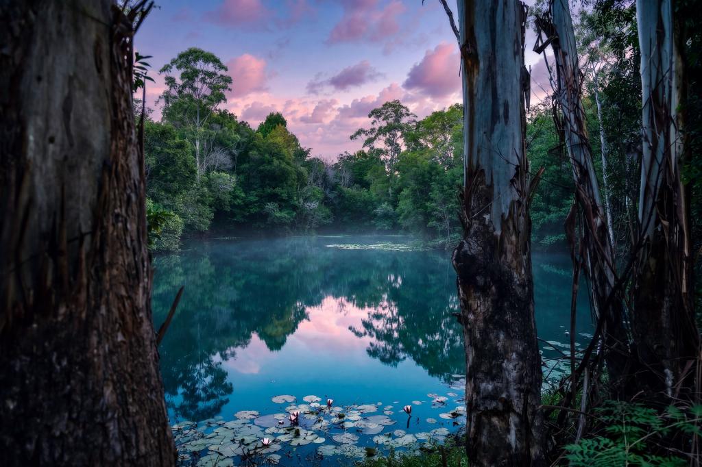 3770 Pacific Hwy, Eungai Creek, NSW 2441
