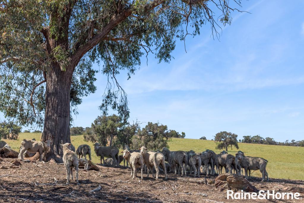 C/A 2a & 2d 555 & 565 Dairy Flat Rd, Heathcote South, VIC 3523