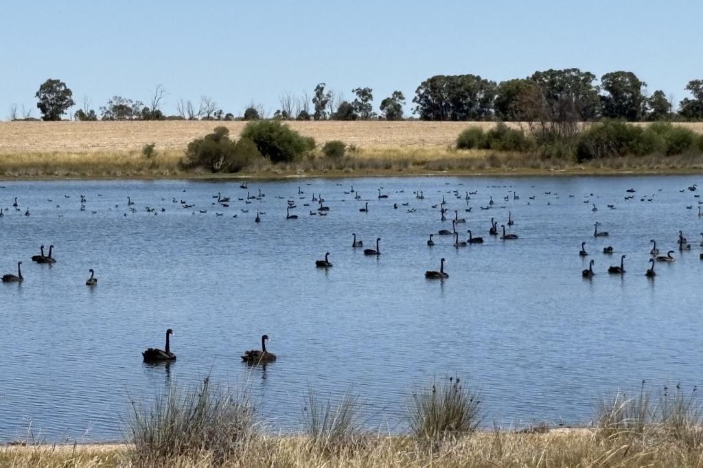 4779 Northwest Rd, Dandaragan, WA 6507