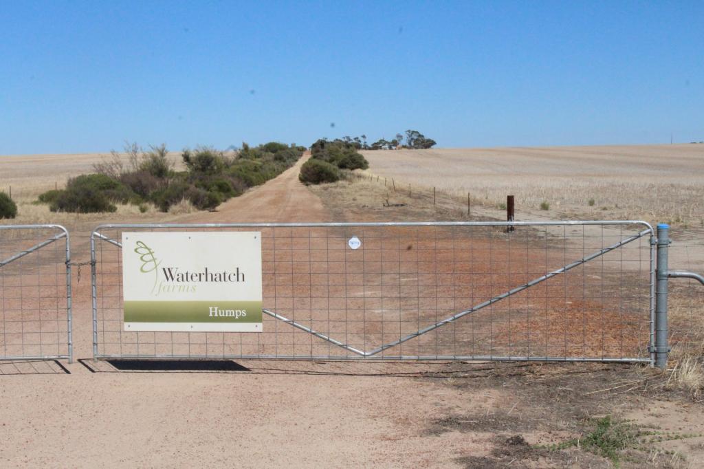 1519 RAINE RD, WOOLOCUTTY, WA 6369