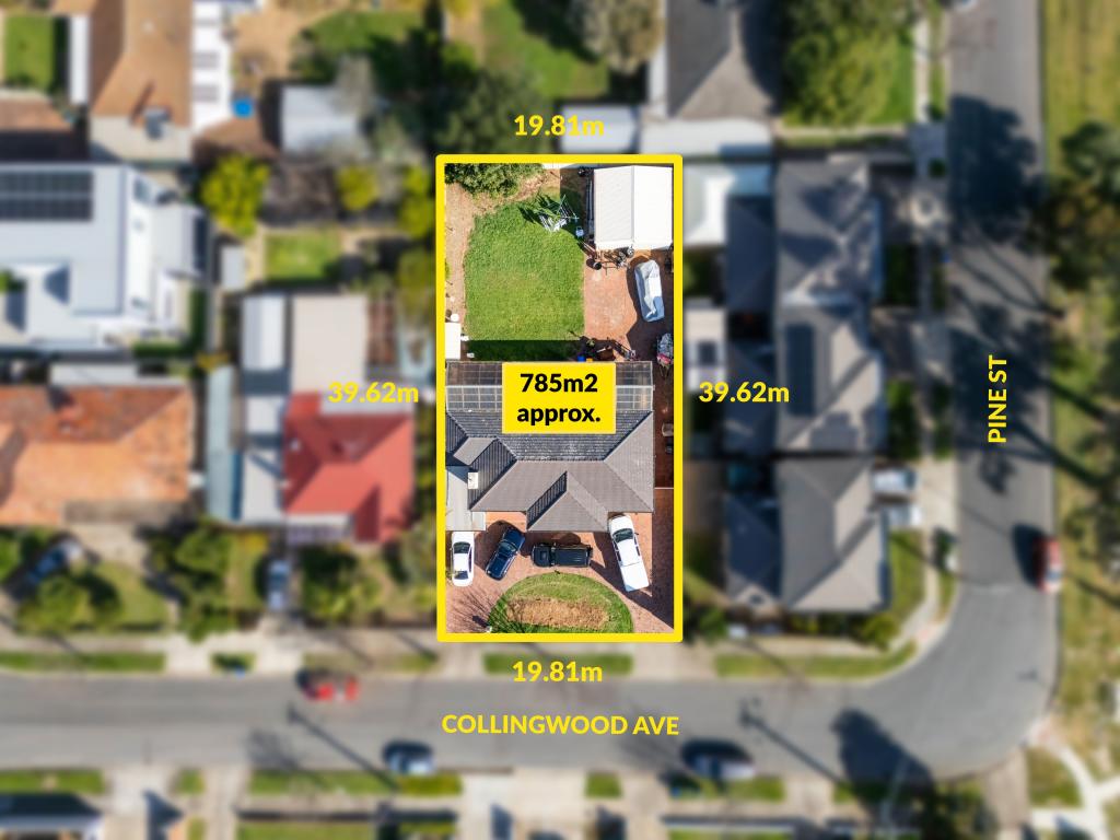 53 Collingwood Ave, Flinders Park, SA 5025
