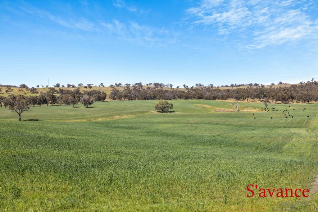 Lot 50 Fendlers Rd, Tungkillo, SA 5236