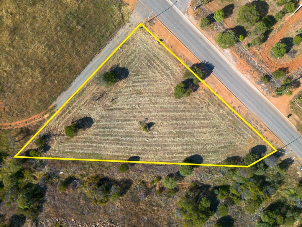 11 Forrest St, Northampton, WA 6535