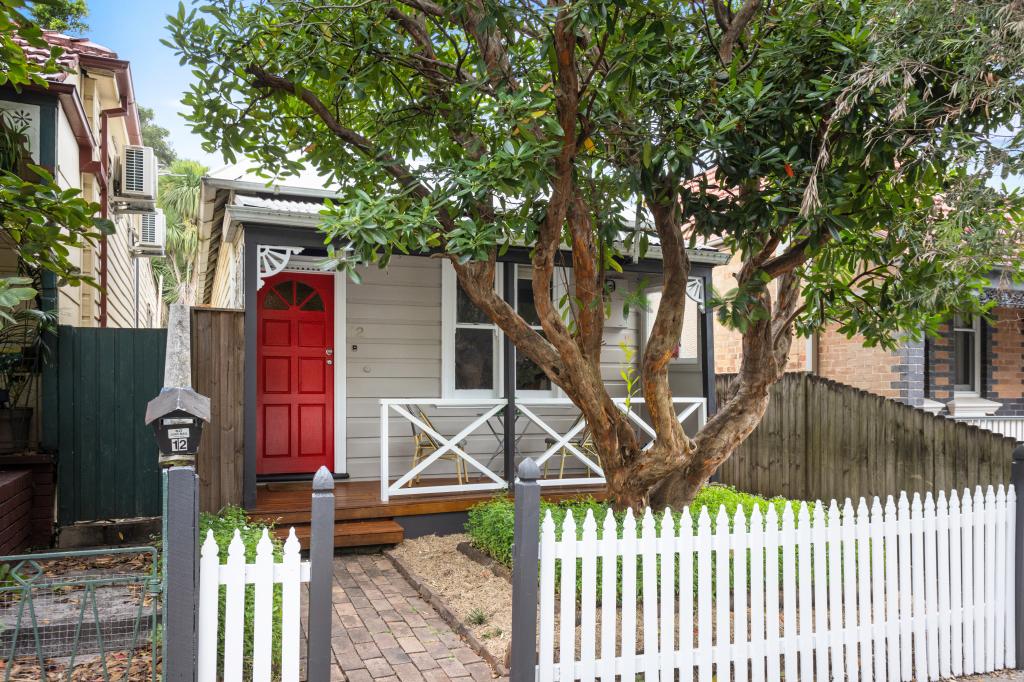 12 Holmesdale St, Marrickville, NSW 2204