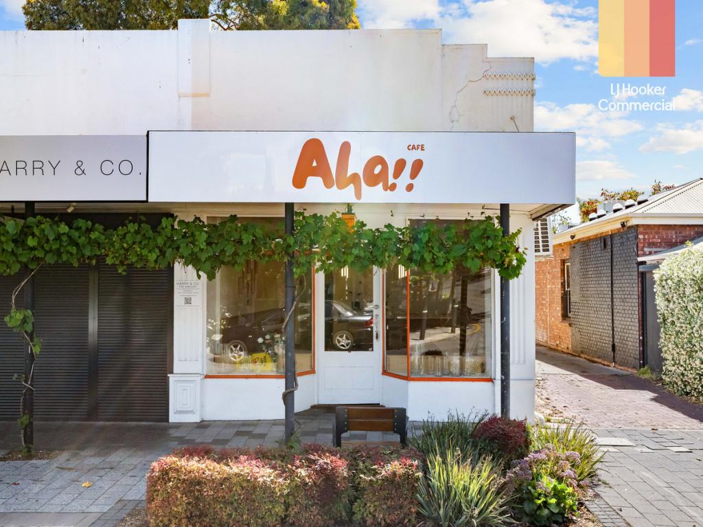 146 KING WILLIAM RD, HYDE PARK, SA 5061