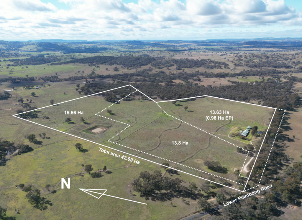 295 Lower Piambong Rd, Piambong, NSW 2850