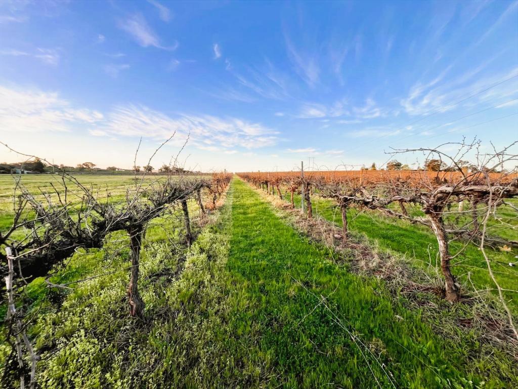 106 Anderson Lane, Cowra, NSW 2794