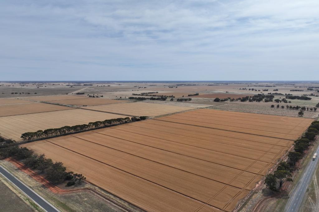 1800 MT TERRICK RD, ROSLYNMEAD, VIC 3564