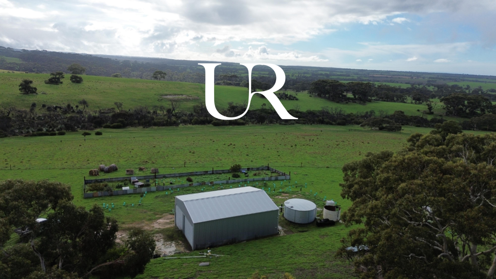 Lot 51 Bark Hut Rd, Cassini, SA 5223