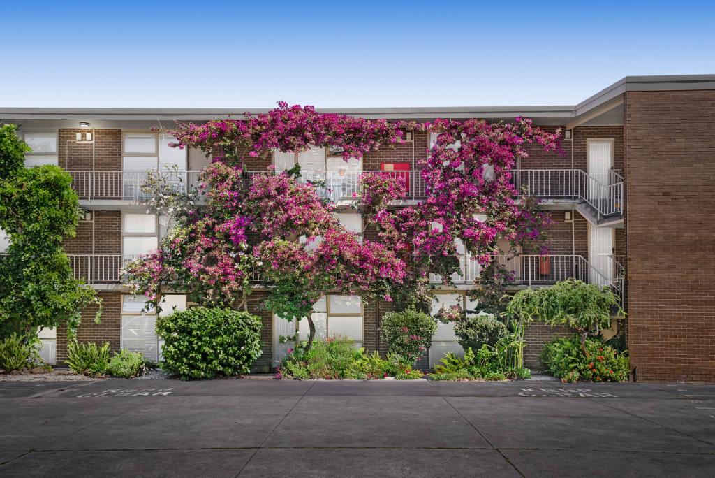 19/34 Neill St, Carlton, VIC 3053