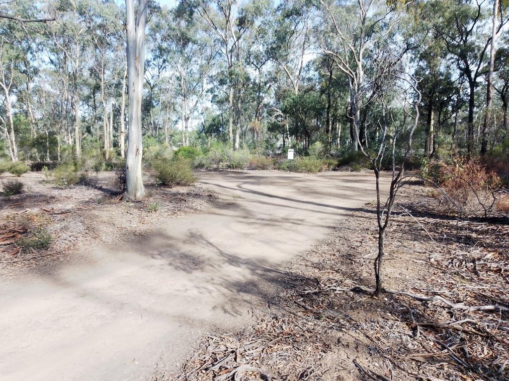 7 Lytton St, Tarnagulla, VIC 3551