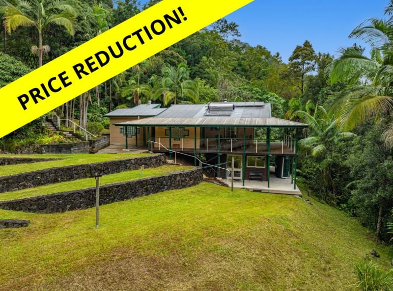 675 Terania Creek Rd, The Channon, NSW 2480