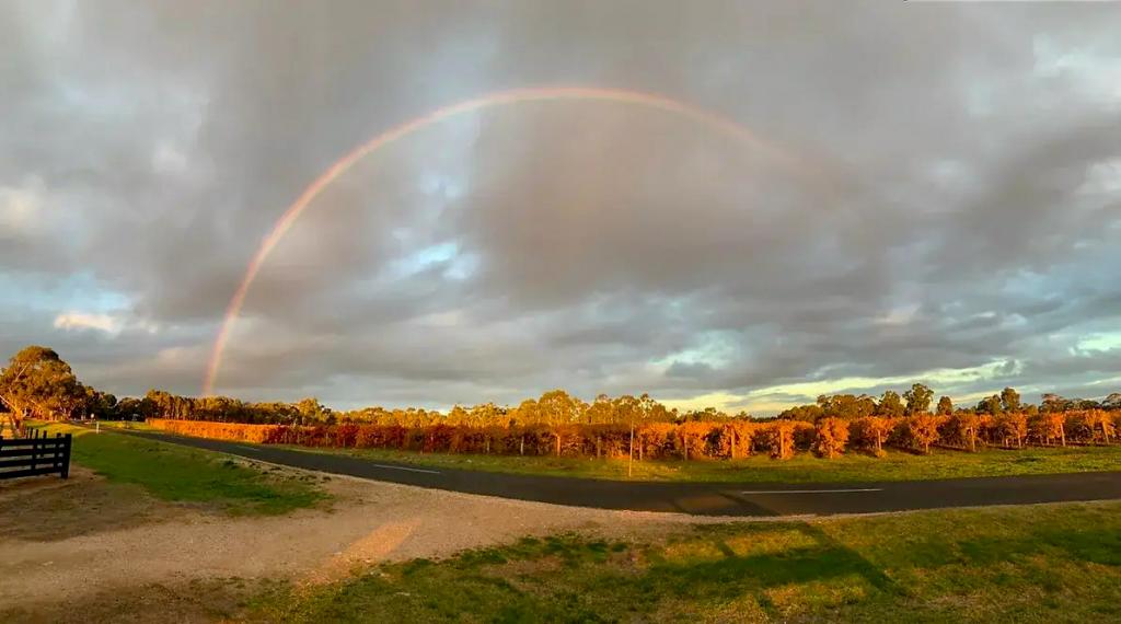 75 Beeamma - Parsons Rd, Padthaway, SA 5271