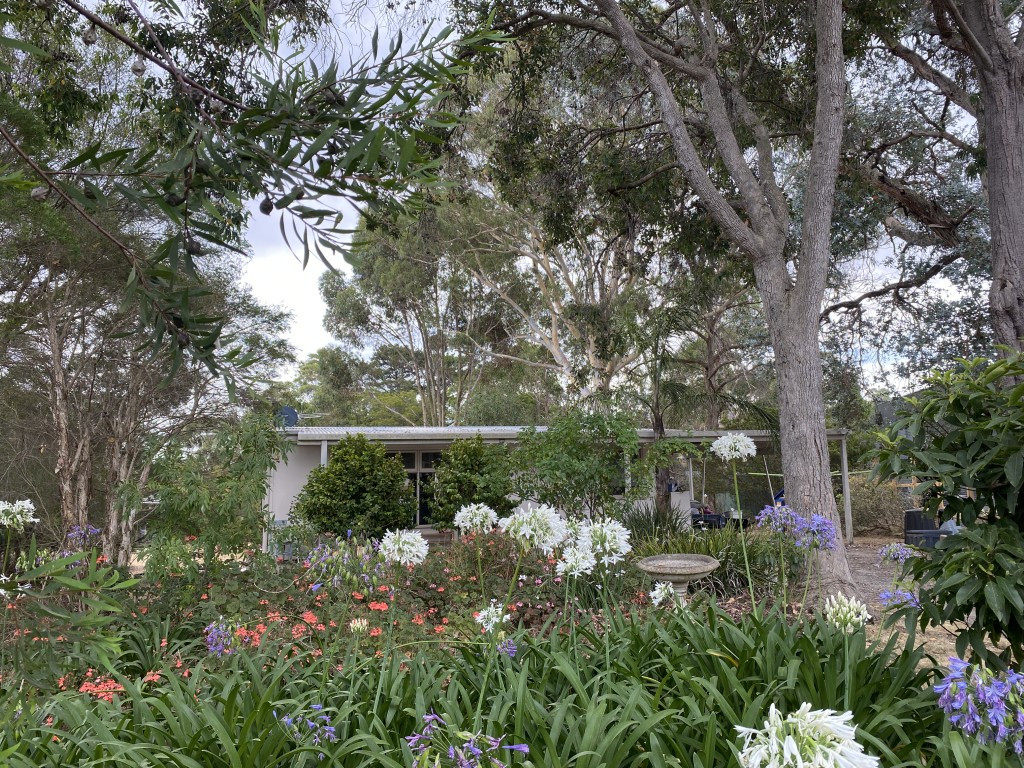 8 Ti Tree Ct, Somers, VIC 3927