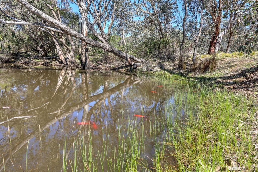 Lot 77-79, 131 Prescot St, Lyndhurst, NSW 2797