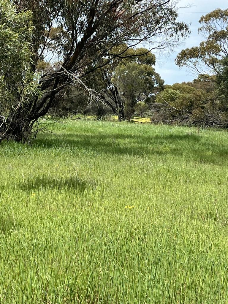 Lot 14438 & 14439 Yarramony Rd, Jennacubbine, WA 6401