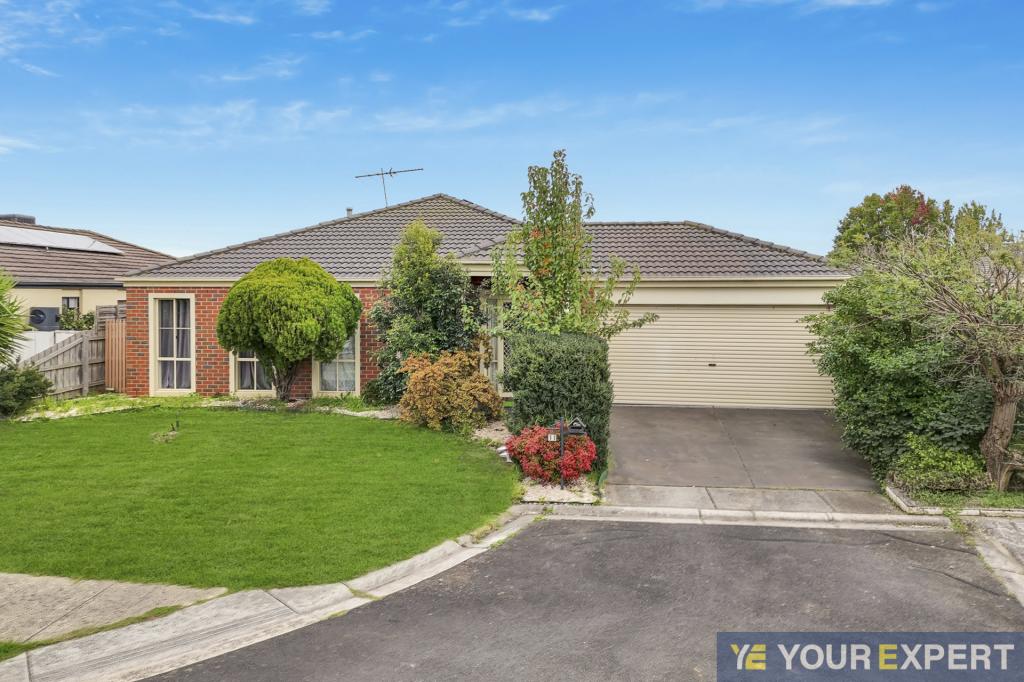 11 Eglinton Cl, Berwick, VIC 3806