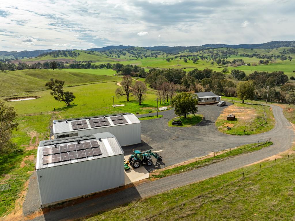 2543 Westbrook Rd, Oberne Creek, NSW 2650