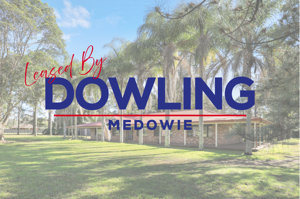 29 Ferodale Rd, Medowie, NSW 2318