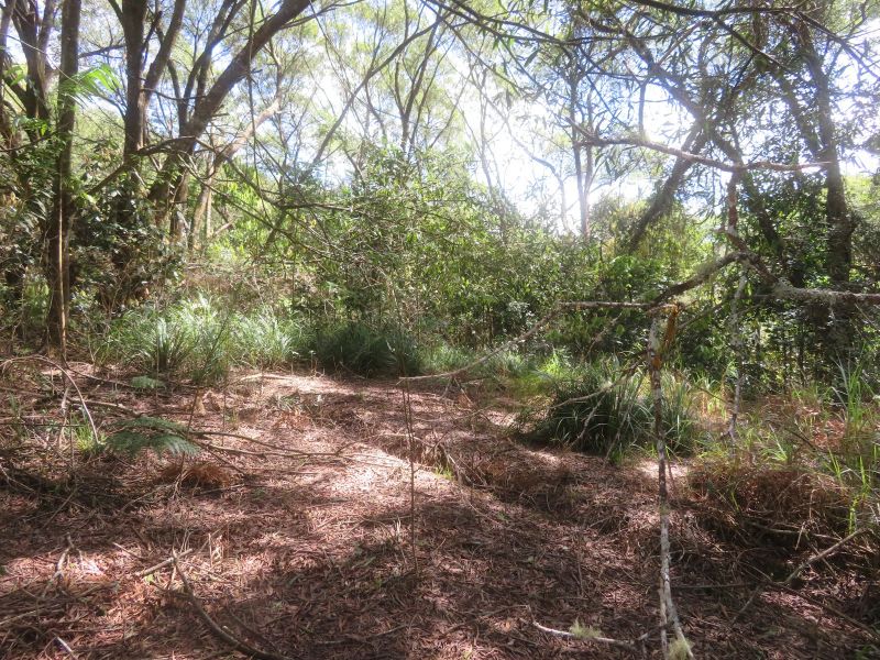 135 Ross Rd, Evelyn, QLD 4888