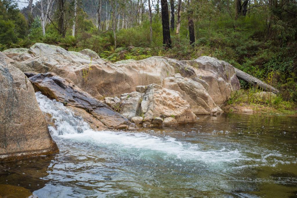 1227 Tantawangalo Mountain Rd, Tantawangalo, NSW 2550